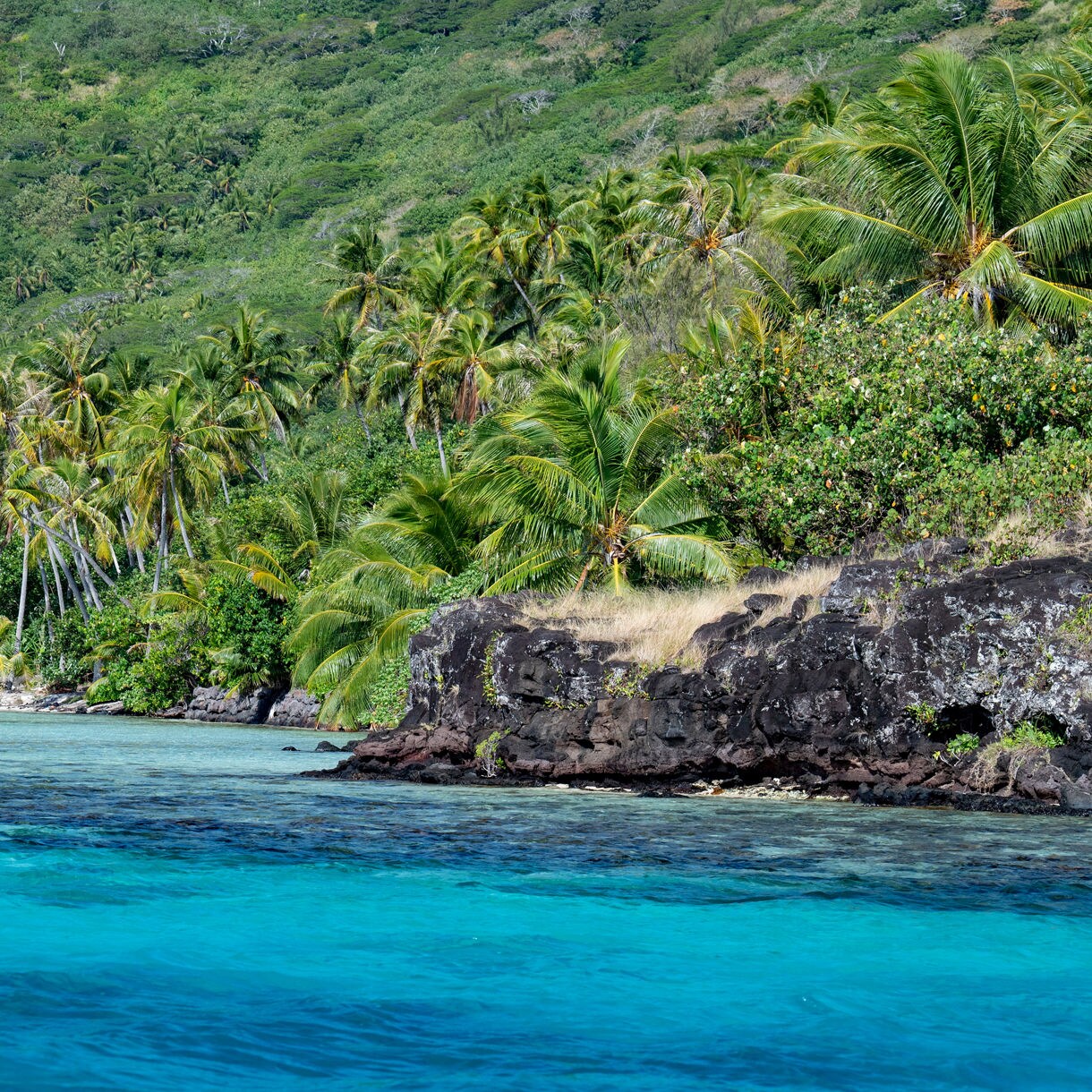 Small motorboat floating on shallow clear turquoise waters with lush green mountains in the background.