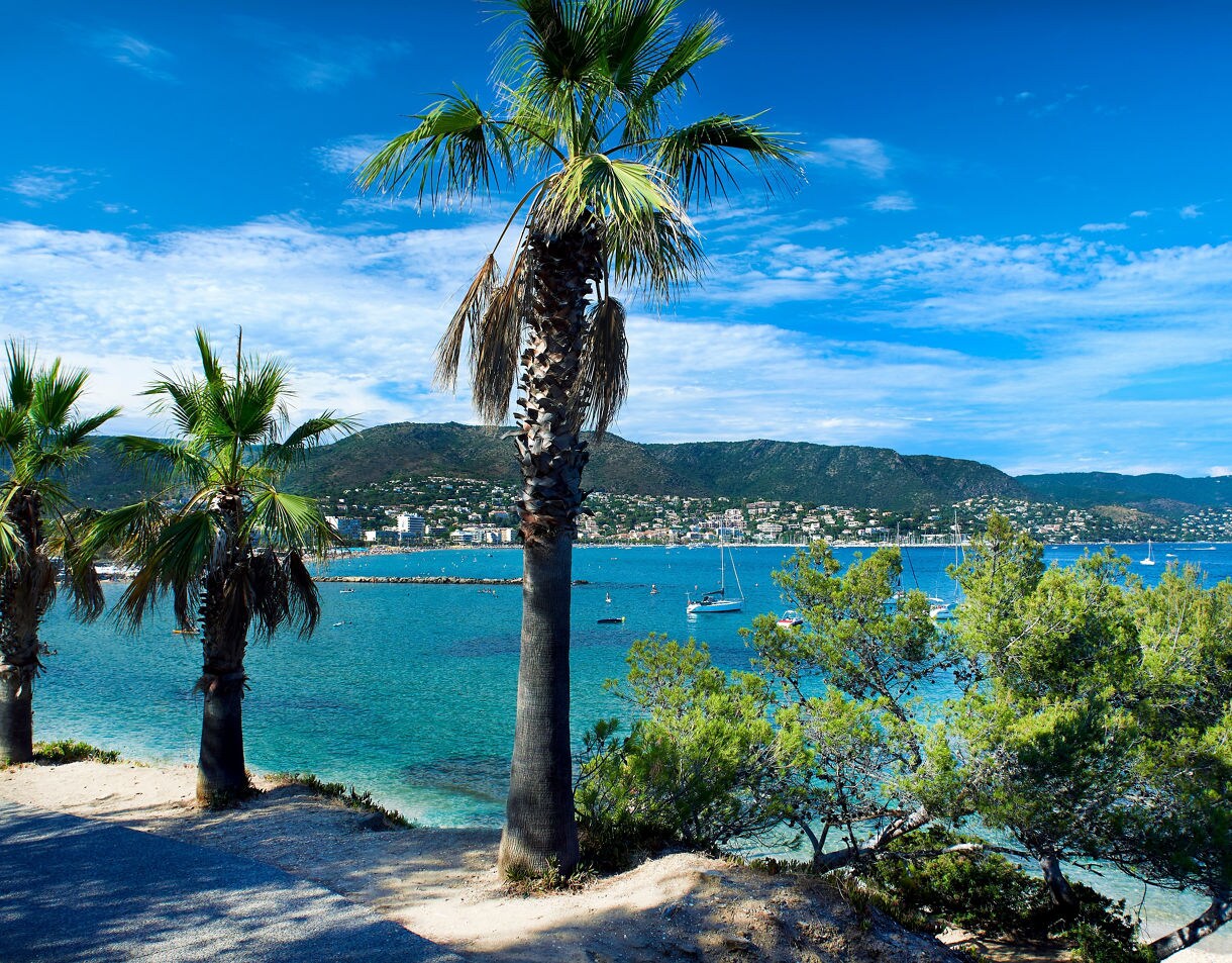 View of a sunny Mediterranean bay with palm trees in the foreground, clear blue water and sailboats anchored near a coastal town backed by green hills.