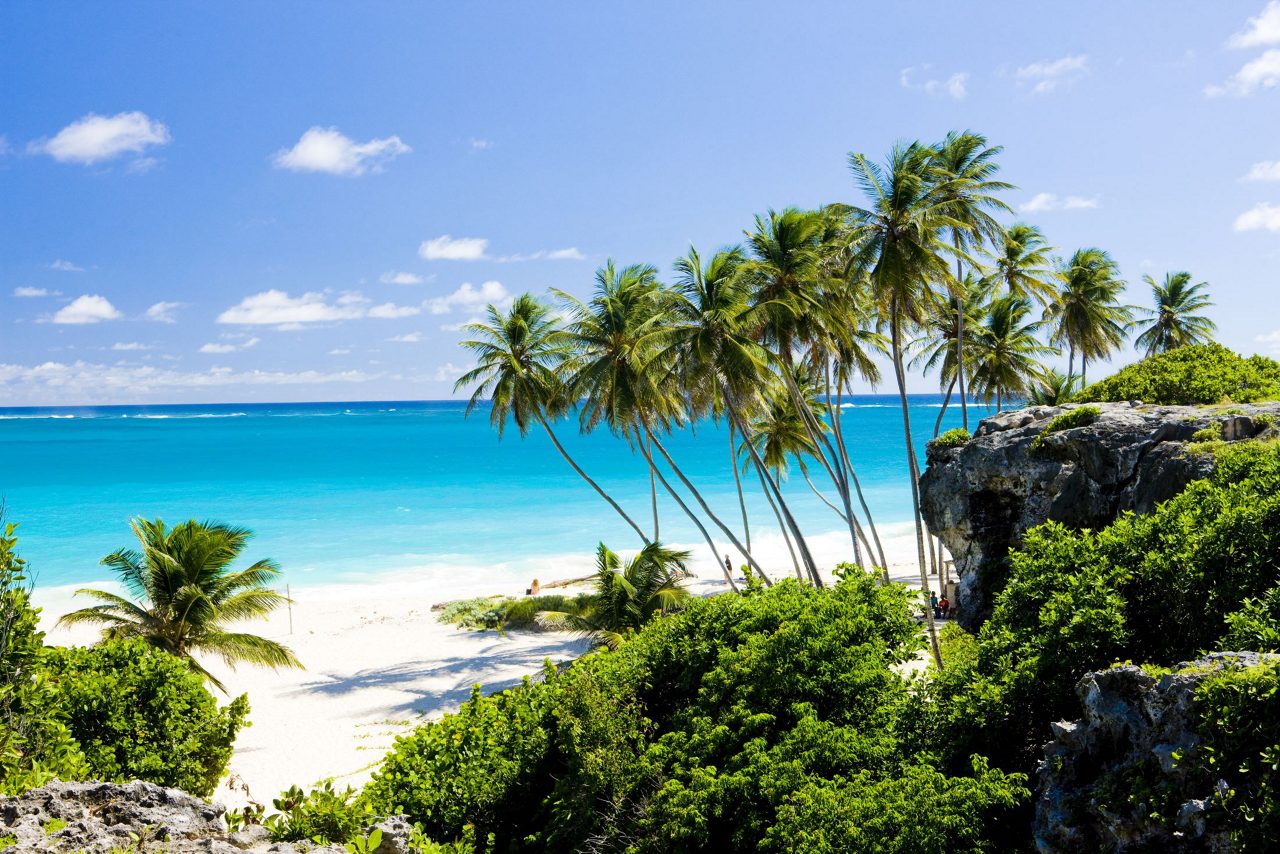 Tropical beach scene with multiple coconut palm trees leaning over white sand, clear turquoise ocean water, and rocky coral formations with lush green vegetation in the foreground.