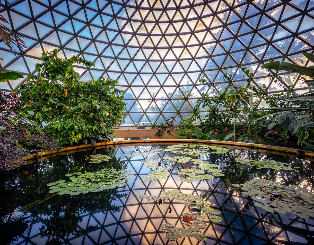 Indoor botanical garden with a geometric glass dome ceiling, lush tropical plants, and a reflective pond covered in lily pad