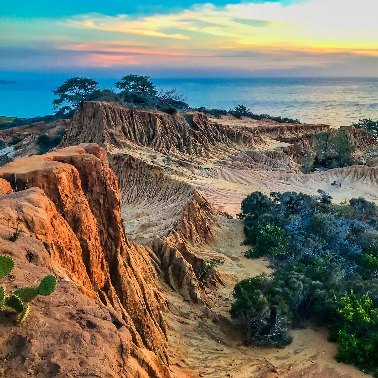 broken hill torrey pines state natural reserve state park san diego california