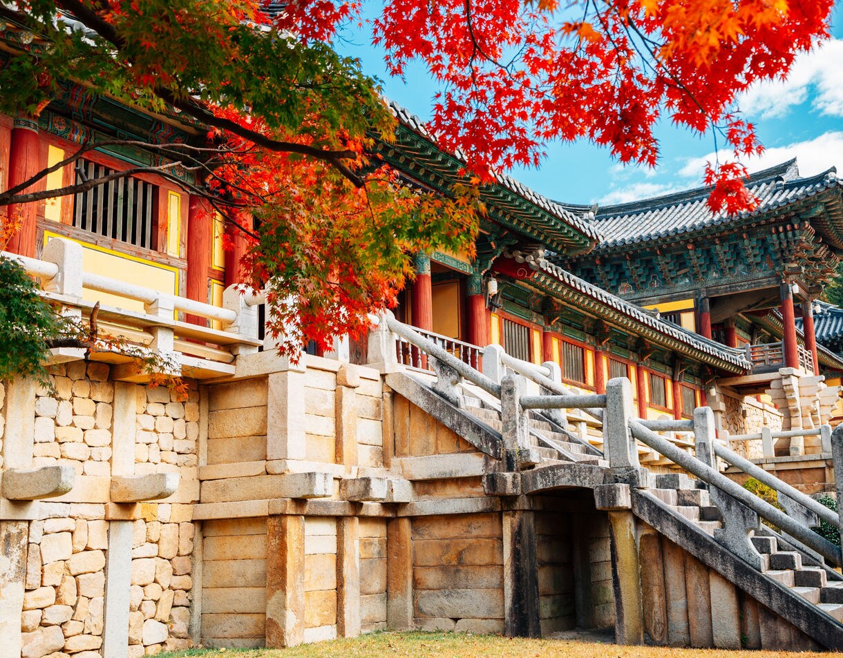 Traditional Korean temple with stone stairs and colorful wooden architecture framed by vivid red maple leaves in autumn.