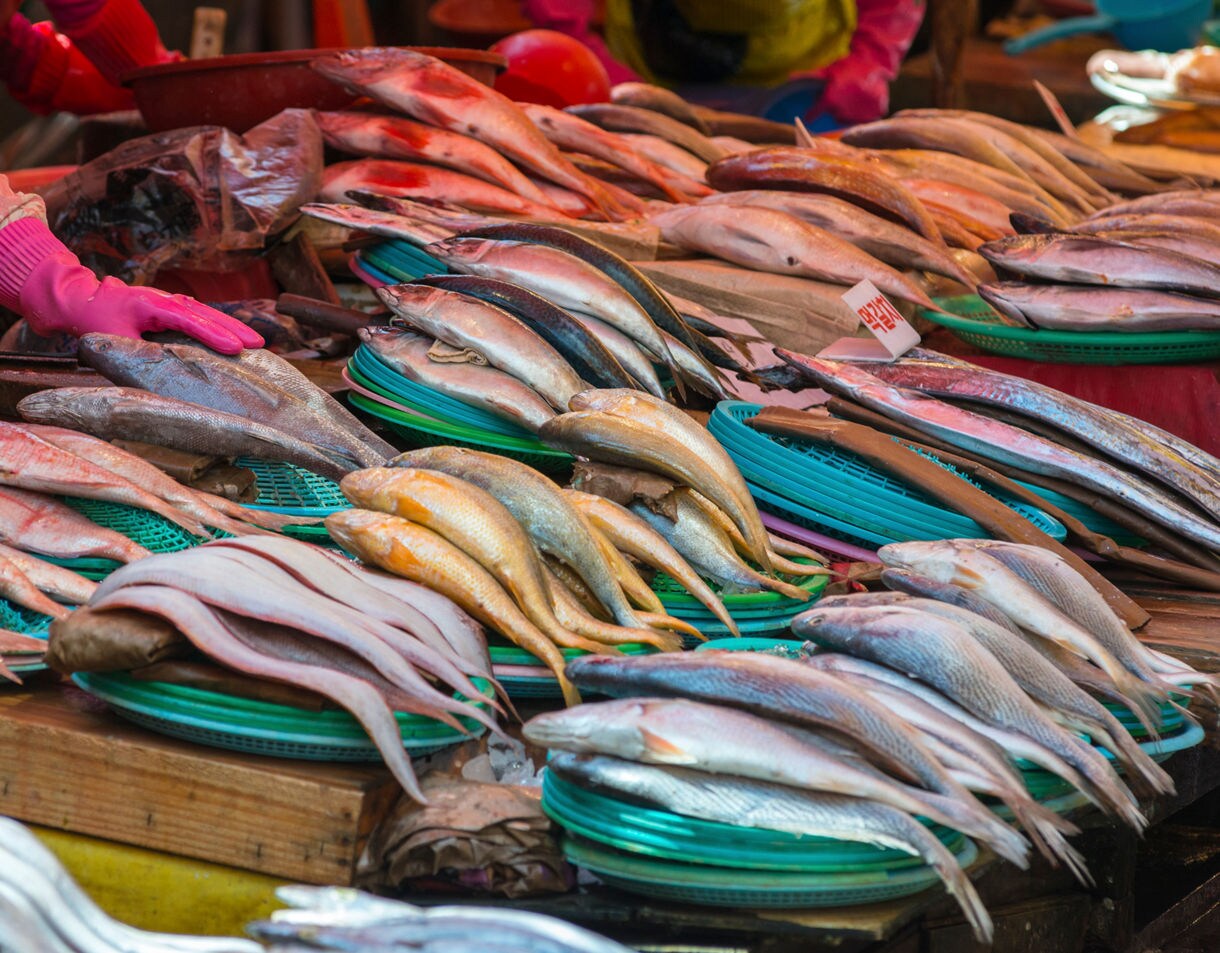 Piles of fresh fish of various colors and sizes displayed on green trays at a seafood stall in Jagalchi Market.