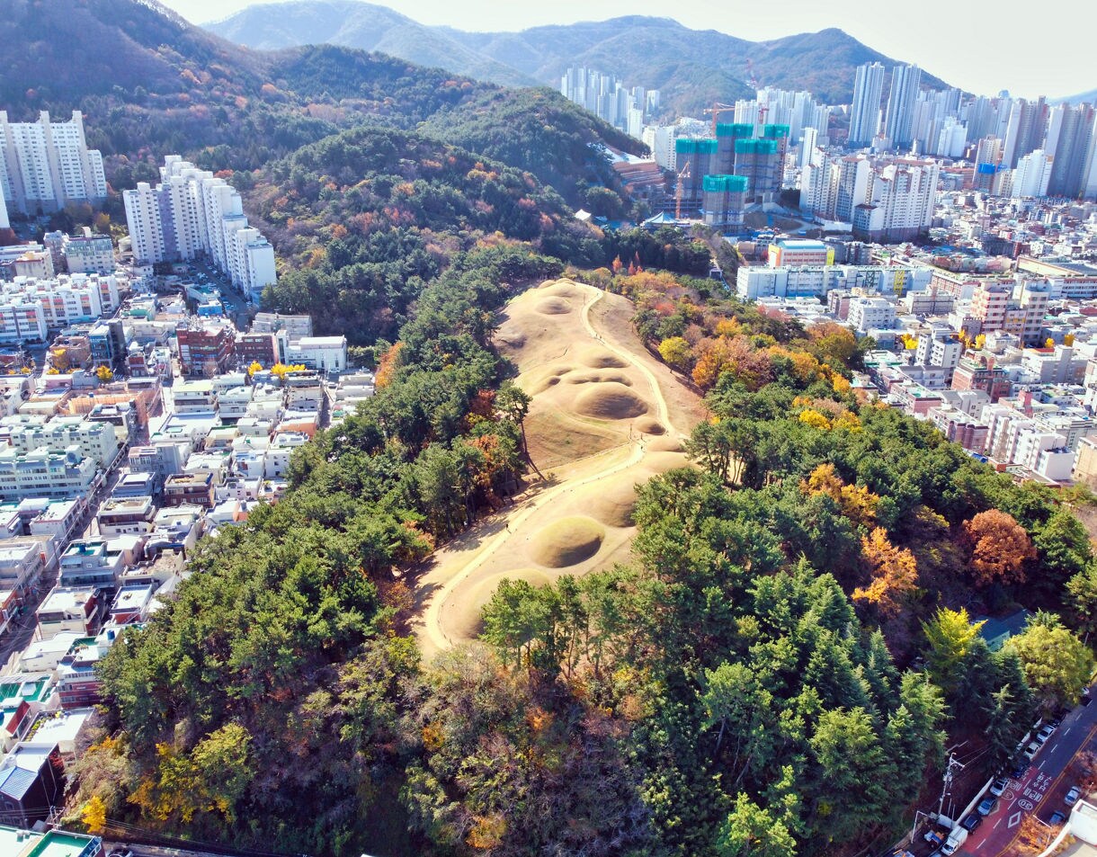 Aerial view of ancient tomb mounds surrounded by forest, set amid dense urban buildings and distant mountains in Busan, South Korea.