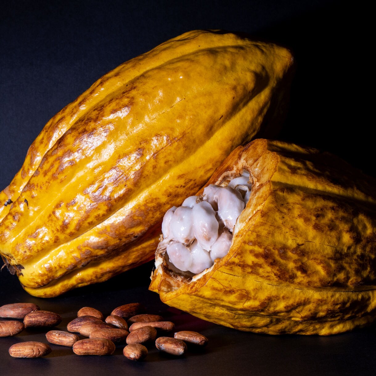 Two yellow cacao pods on a dark surface, one opened to show clusters of white pulp-covered beans beside a small pile of dried cacao seeds.