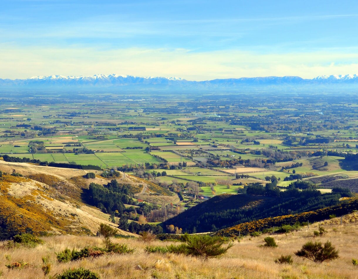 Expansive view of the Canterbury Plains with green farmland, golden hills in the foreground and distant snow-covered mountains under a clear blue sky.