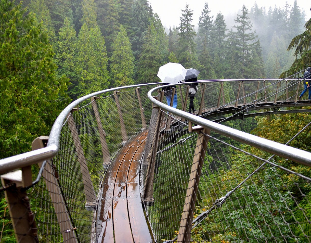 Visitors with umbrellas walking along a curved treetop walkway suspended above a lush forest on a rainy day.