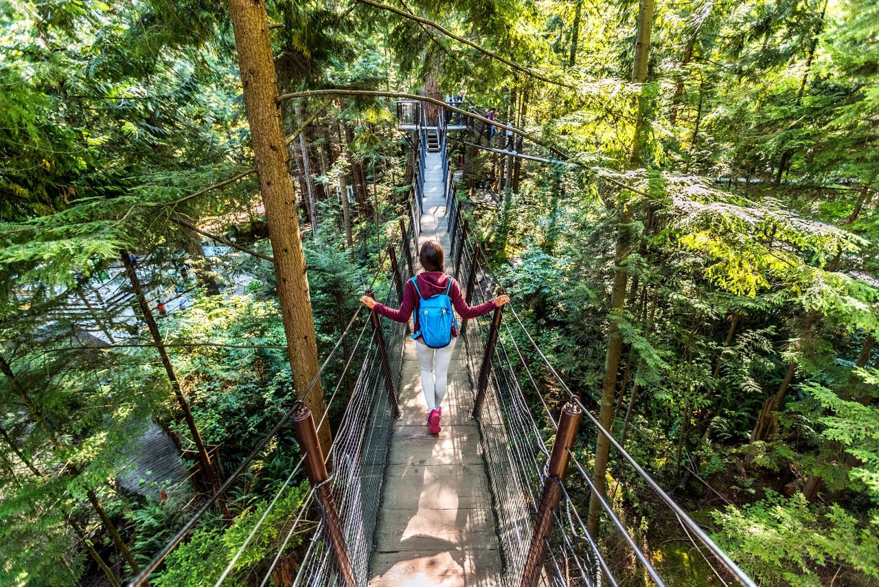 Capilano Suspension Bridge park in Vancouver, BC.