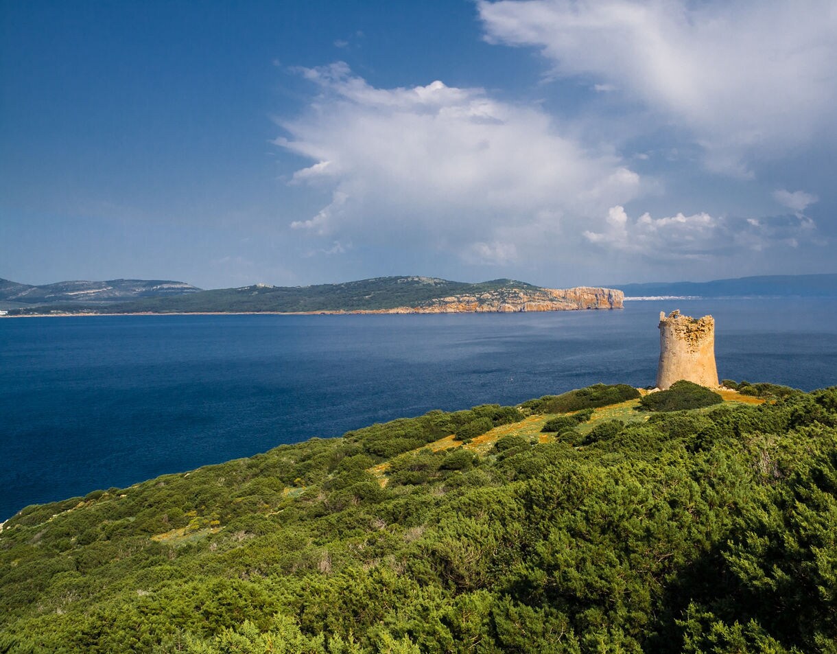 Stone coastal tower surrounded by green shrubs overlooking a wide bay and distant cliffs.
