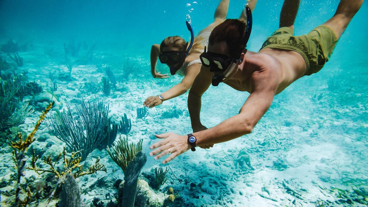 best caribbean cruise for snorkeling