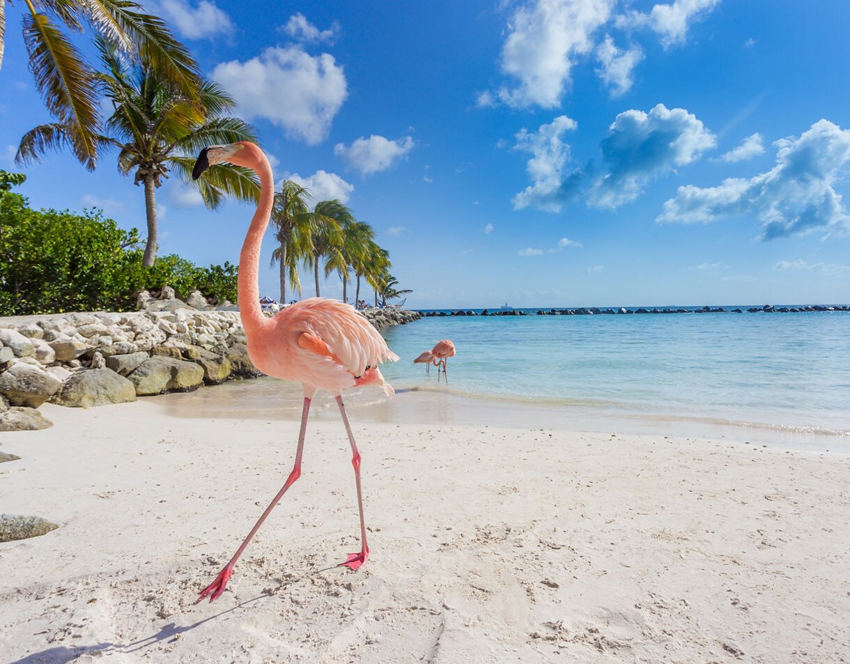 13-day Southern Caribbean Islander