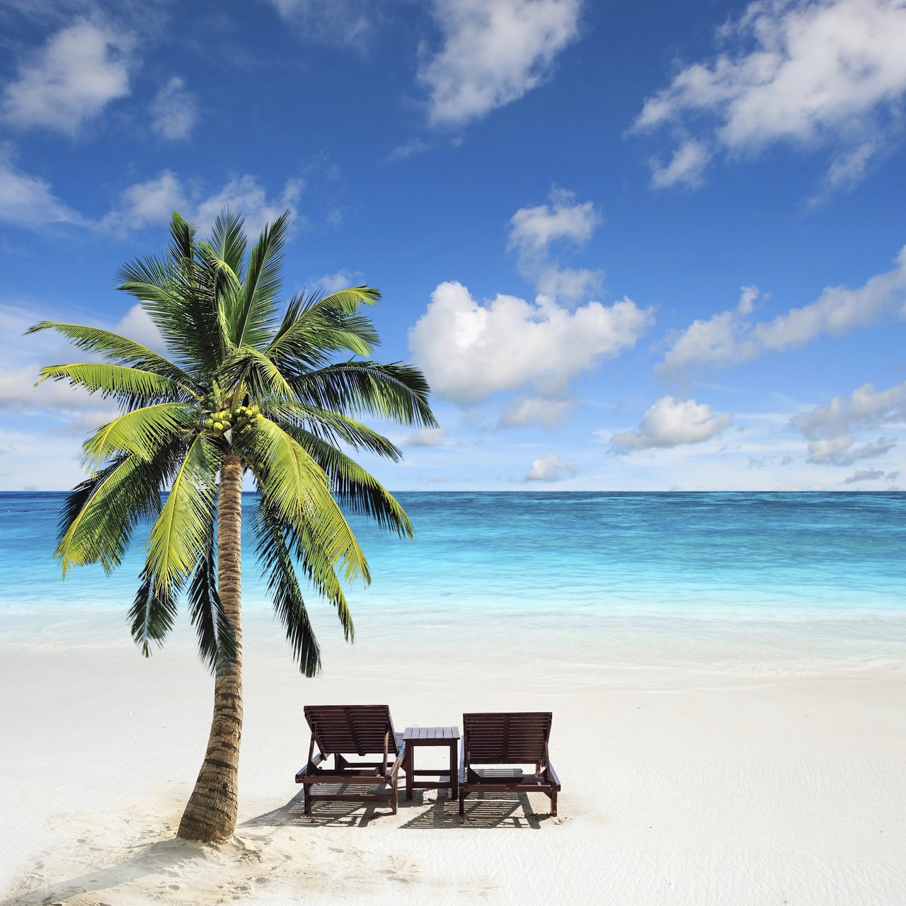 Caribbean beach