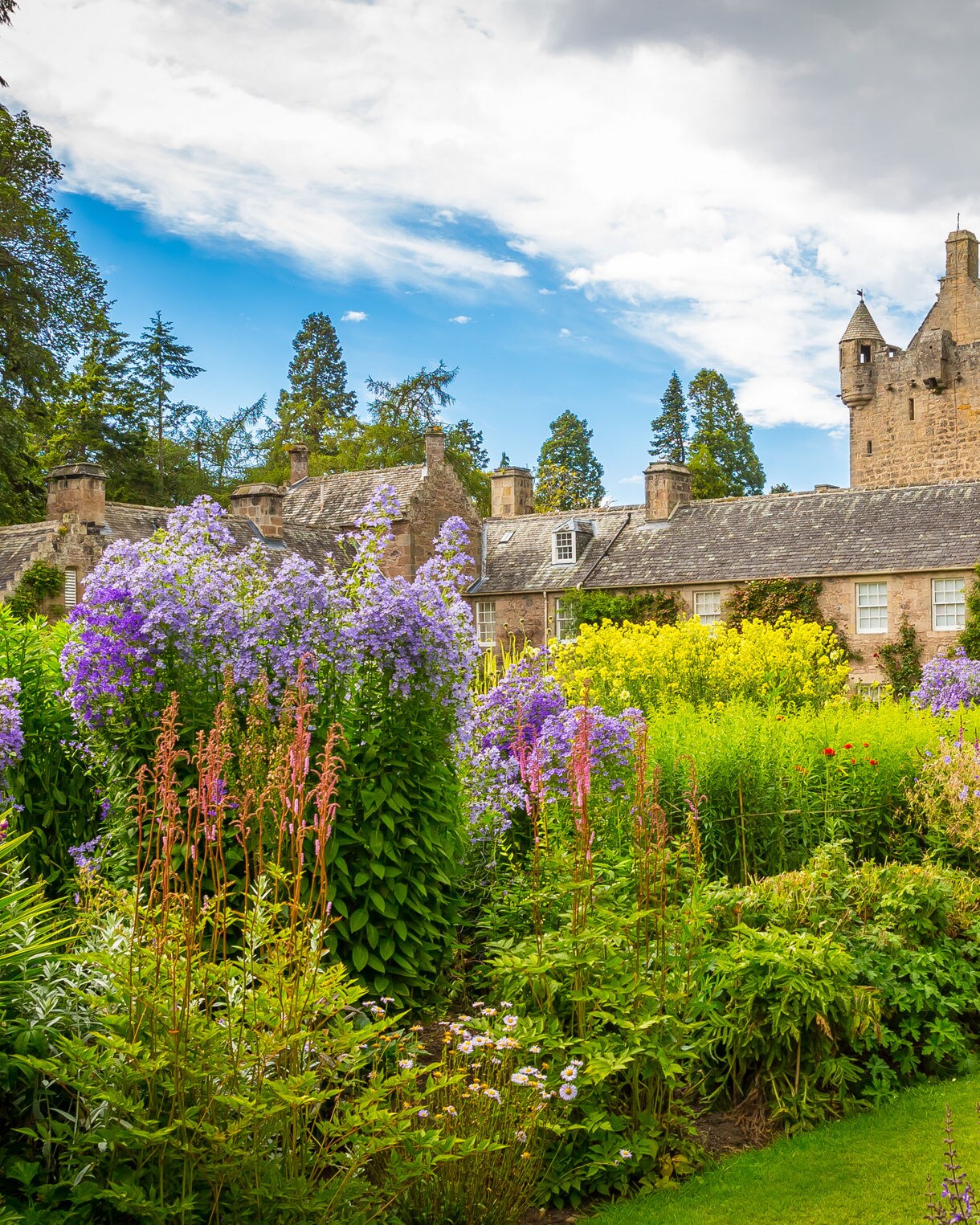 Cawdor Castle in the Scottish Highlands with a tall stone tower and flag, surrounded by vibrant summer gardens filled with purple, red and yellow flowers.