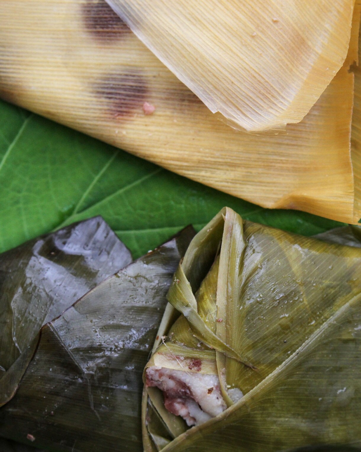 Close-up of Chiapas tamales wrapped in banana leaves and corn husks, resting on a large green leaf.