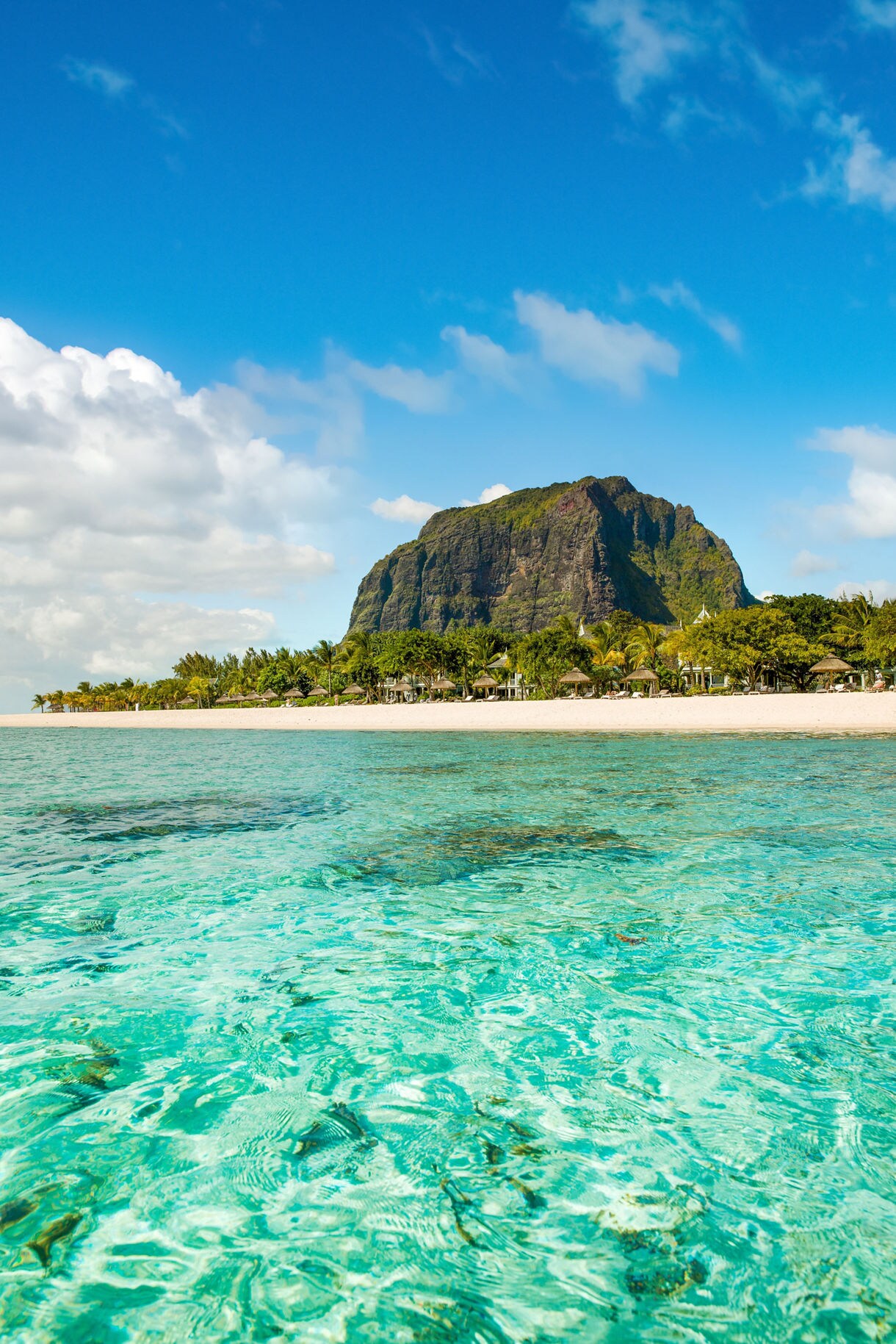 Clear aqua water in front of a sandy beach with palm trees and a tall rocky mountain.