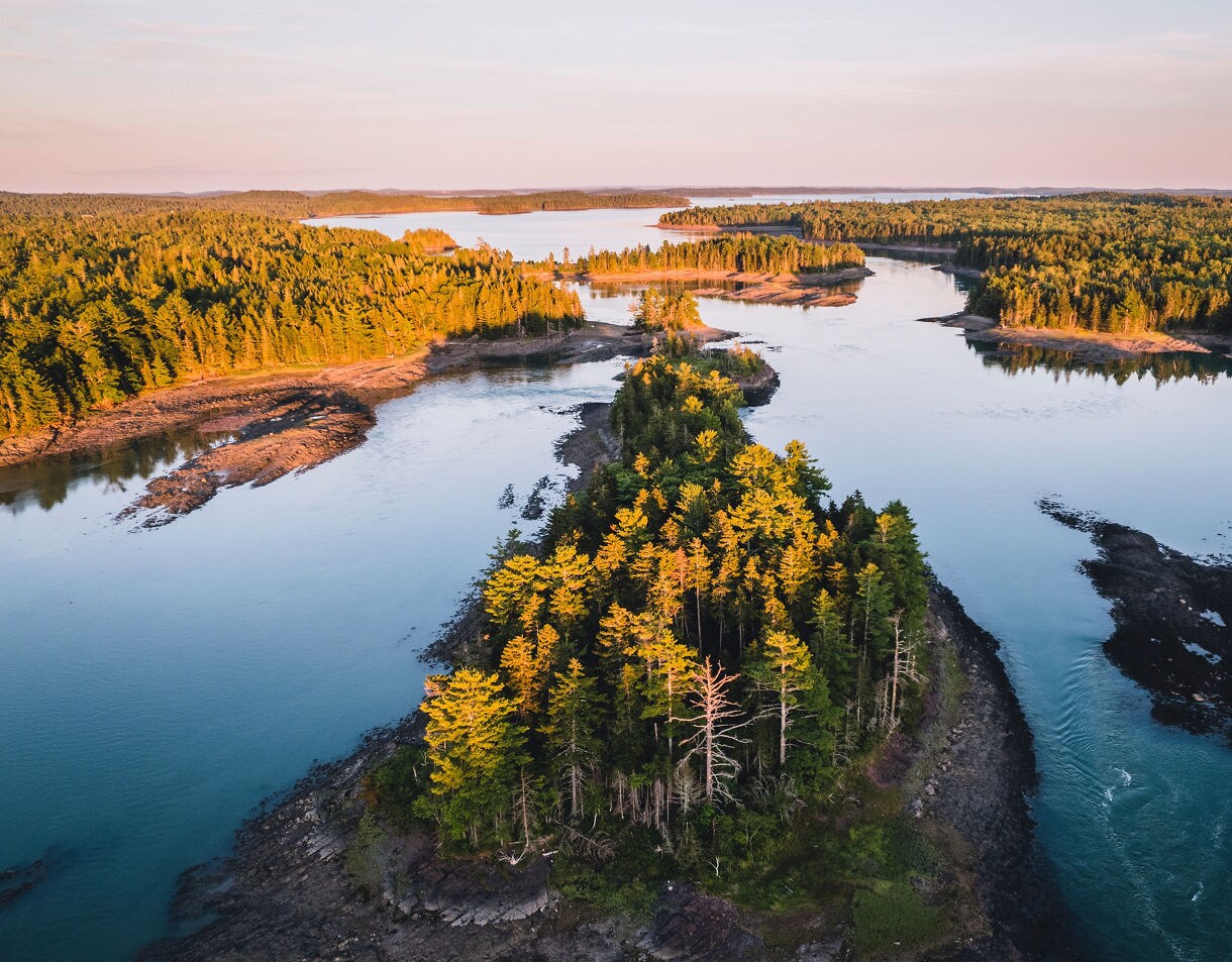 Aerial view of forested islands in Cobscook Bay at sunrise with golden light on the treetops and narrow tidal channels winding through calm blue water.