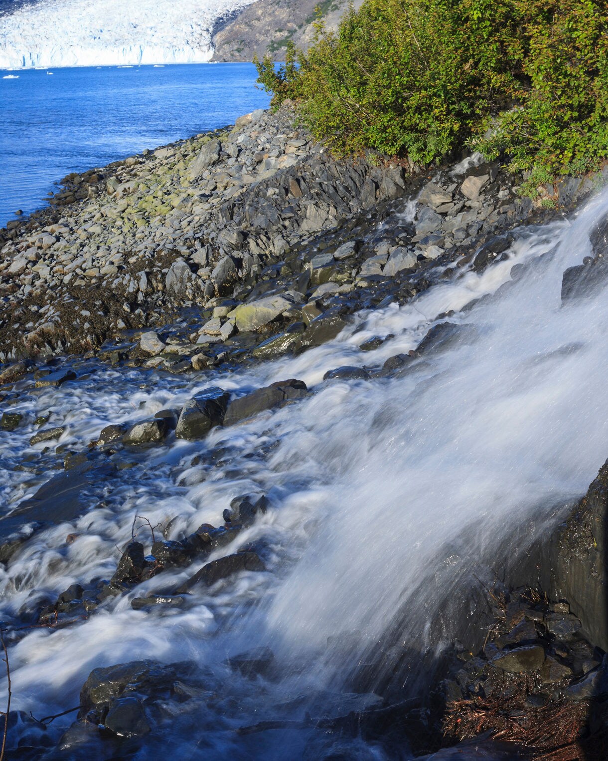 A peaceful view of College Fjord, with a waterfall flowing over rocky terrain and lush green bushes, leading to the calm waters and distant glaciers under a clear blue sky.