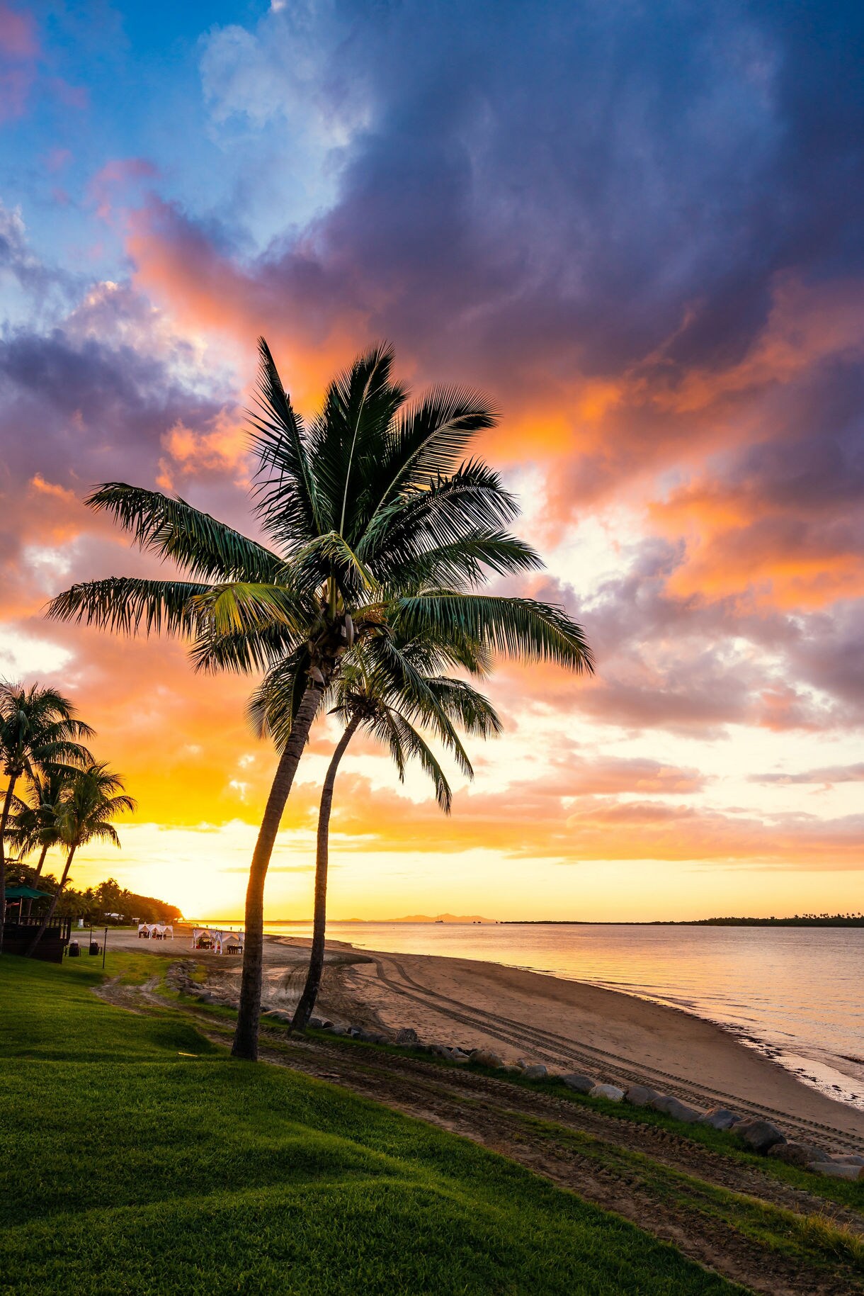 Palm trees silhouetted against a vivid sunset with orange, pink and purple clouds above a calm beach and gentle ocean waves.