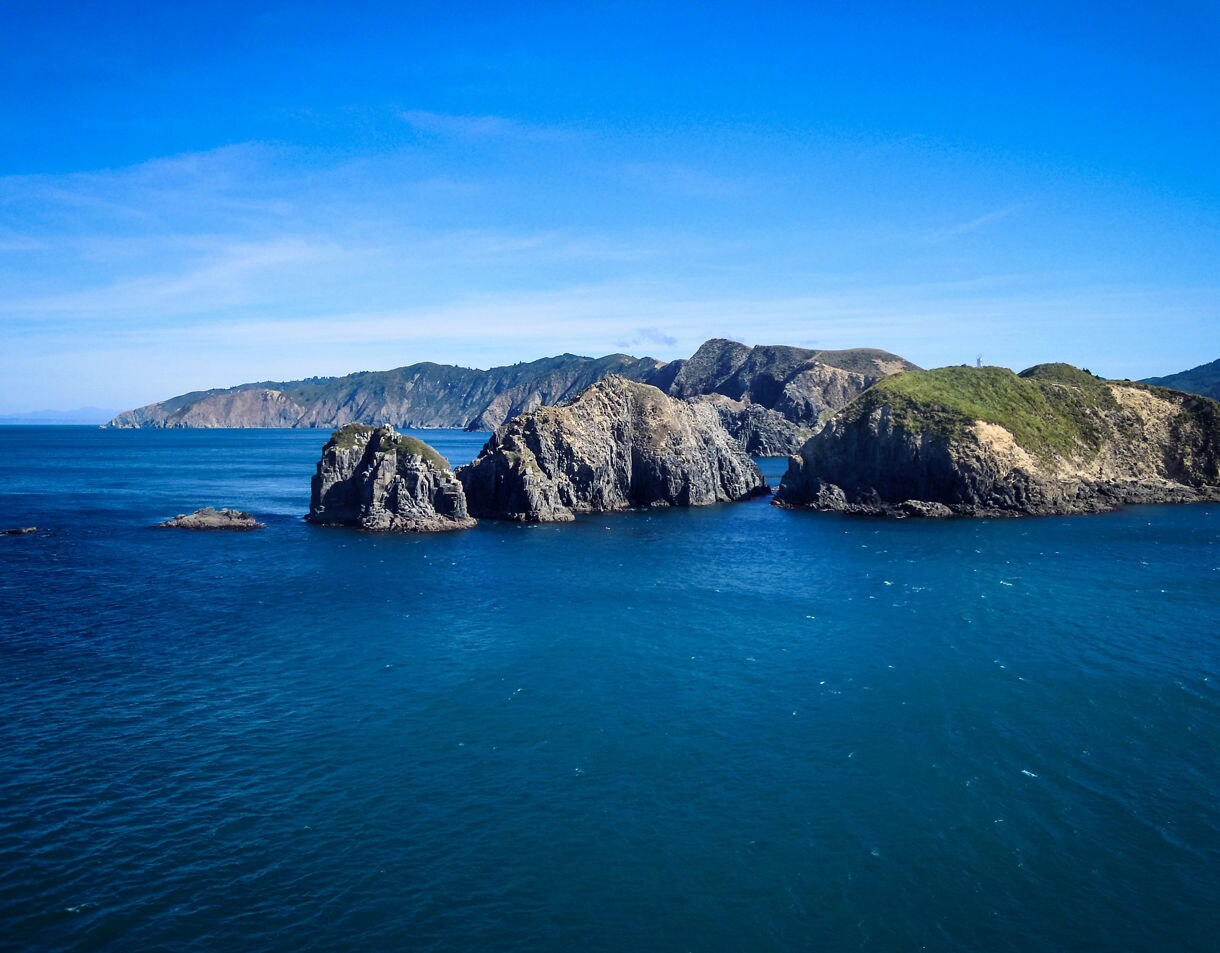 Rocky coastal islands and cliffs rising from vivid blue waters of Cook Strait under a clear sky.