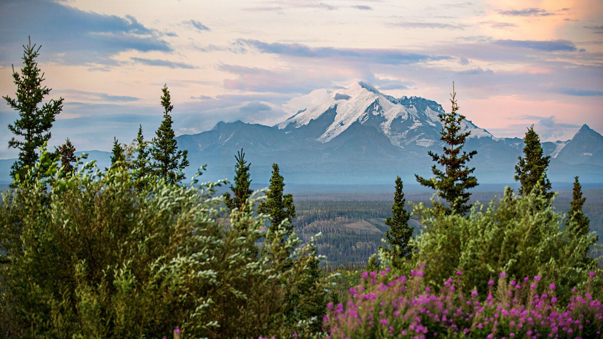 Natural surroundings of Copper River Princess Wilderness Lodge