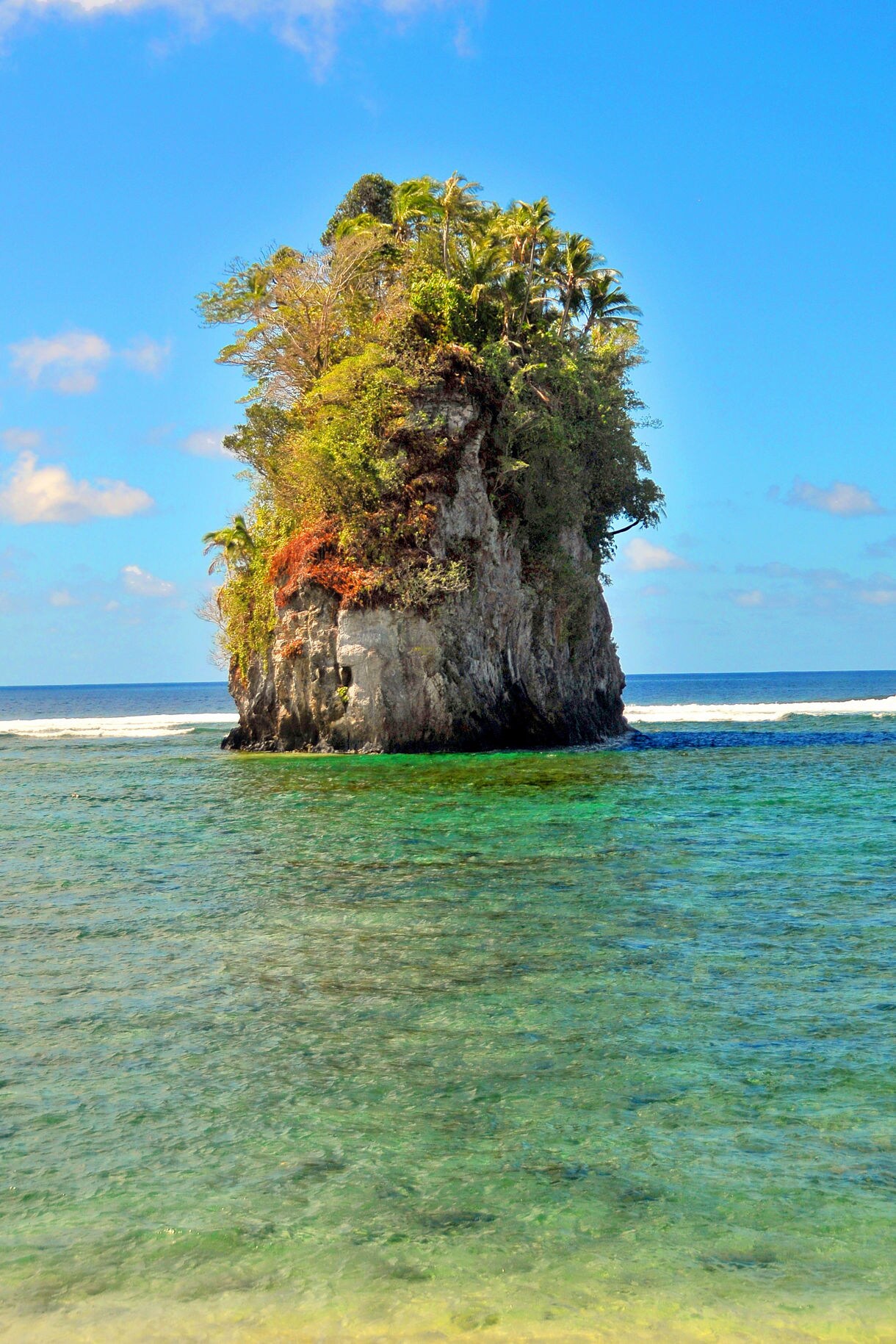 A small rocky island covered in lush plants and palm trees stands in shallow turquoise water under a bright blue sky.