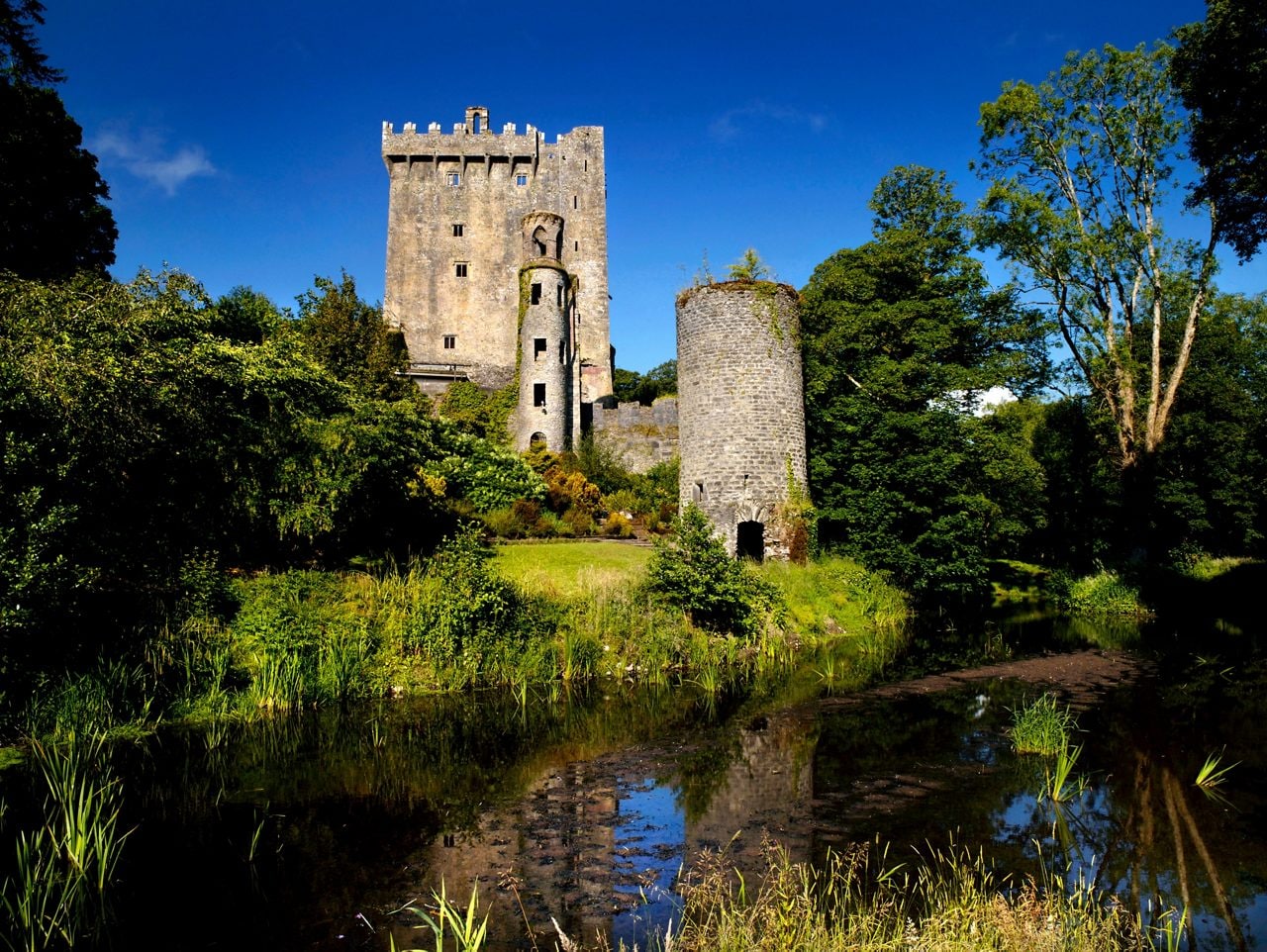 Discover Ireland's iconic Blarney Castle.