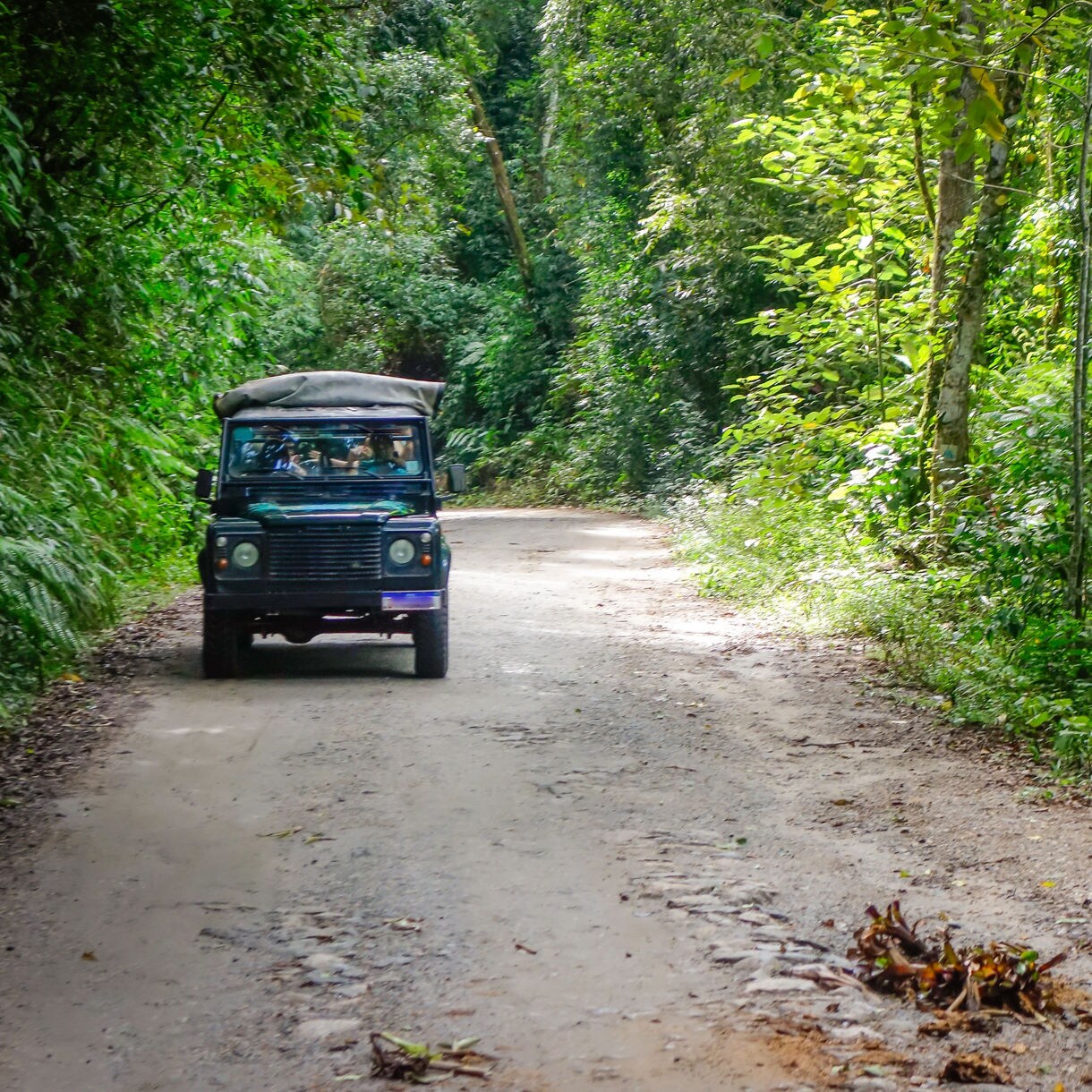 Off-road 4x4 vehicle driving along a dirt path surrounded by dense tropical jungle foliage in Costa Maya.