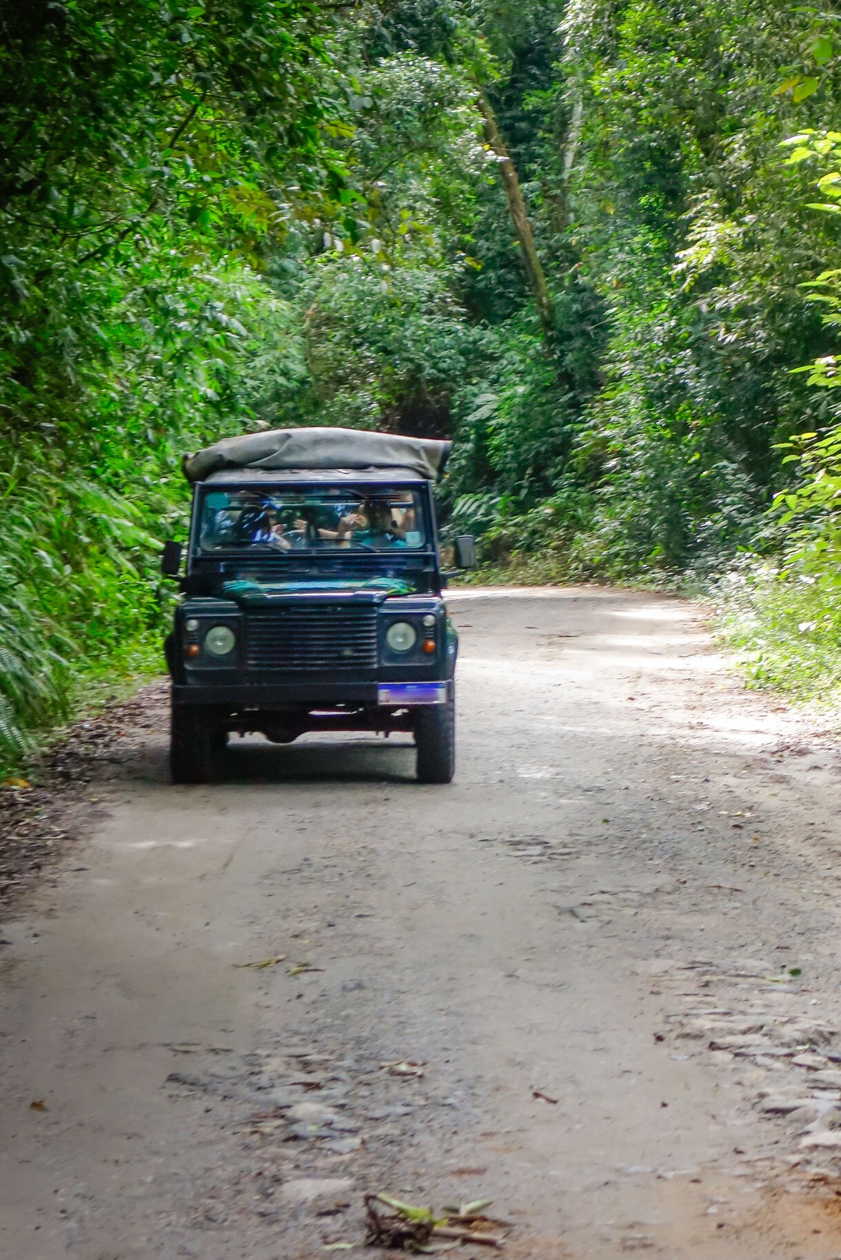 Green military-style jeep driving down a dirt road surrounded by dense tropical jungle vegetation.