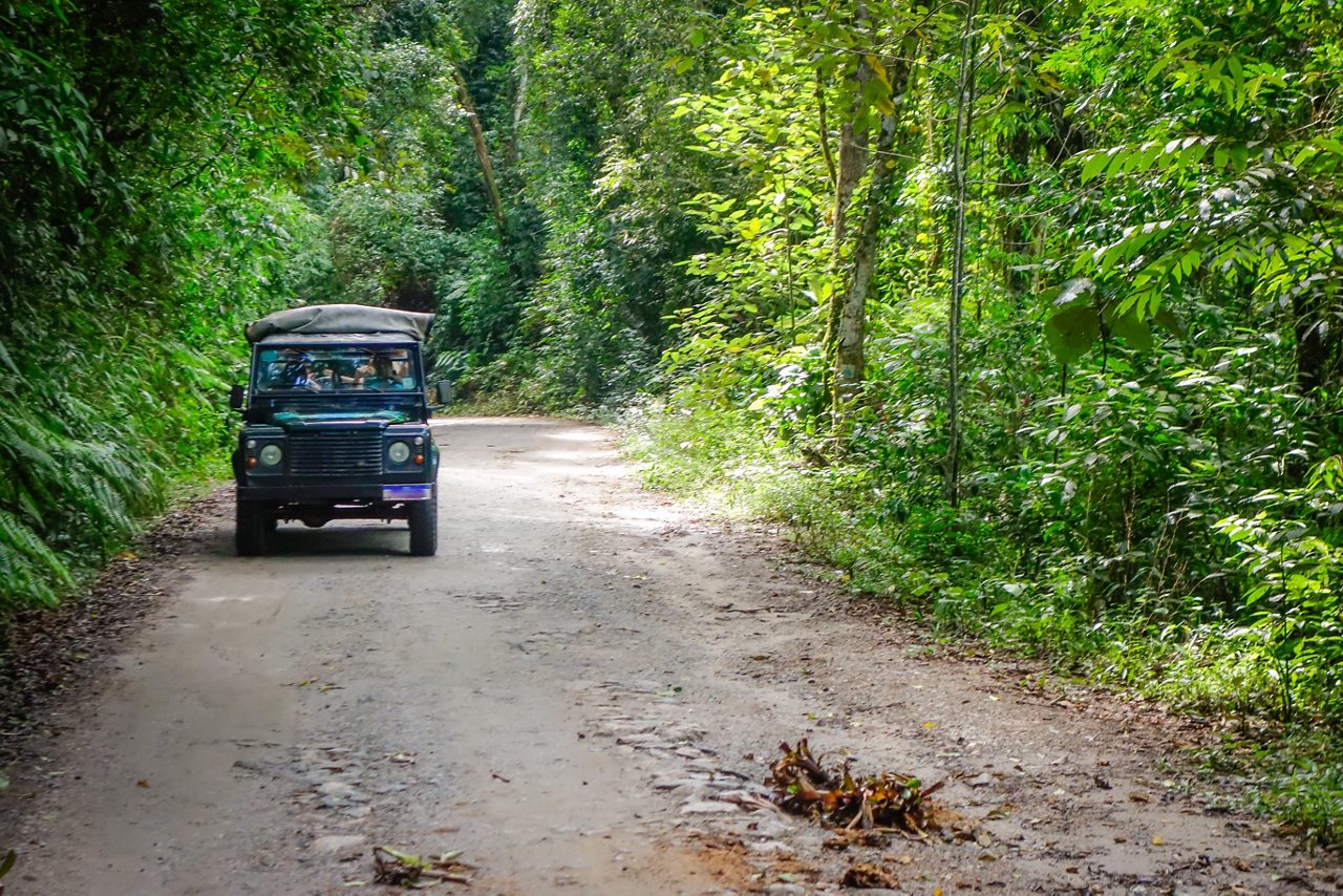 Off-road 4x4 vehicle driving along a dirt path surrounded by dense tropical jungle foliage in Costa Maya.
