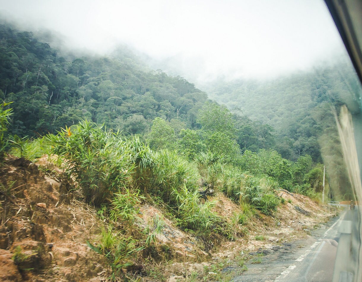 View from a bus window showing a mist-covered mountain road lined with lush tropical greenery in rural Vietnam.