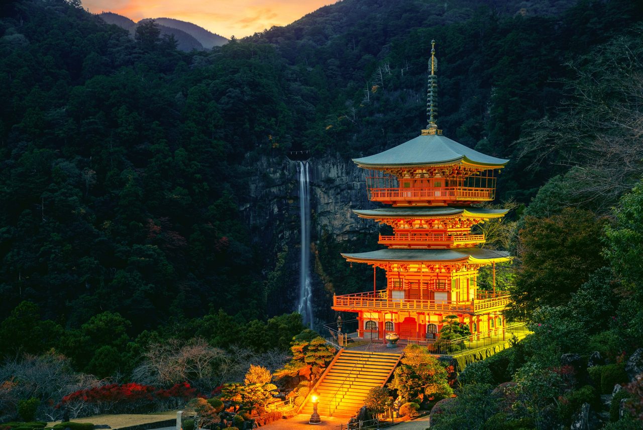 Mossy stone steps lead uphill through a dense forest of tall cedar trees, dappled with sunlight along the historic Kumano Kodo pilgrimage route.