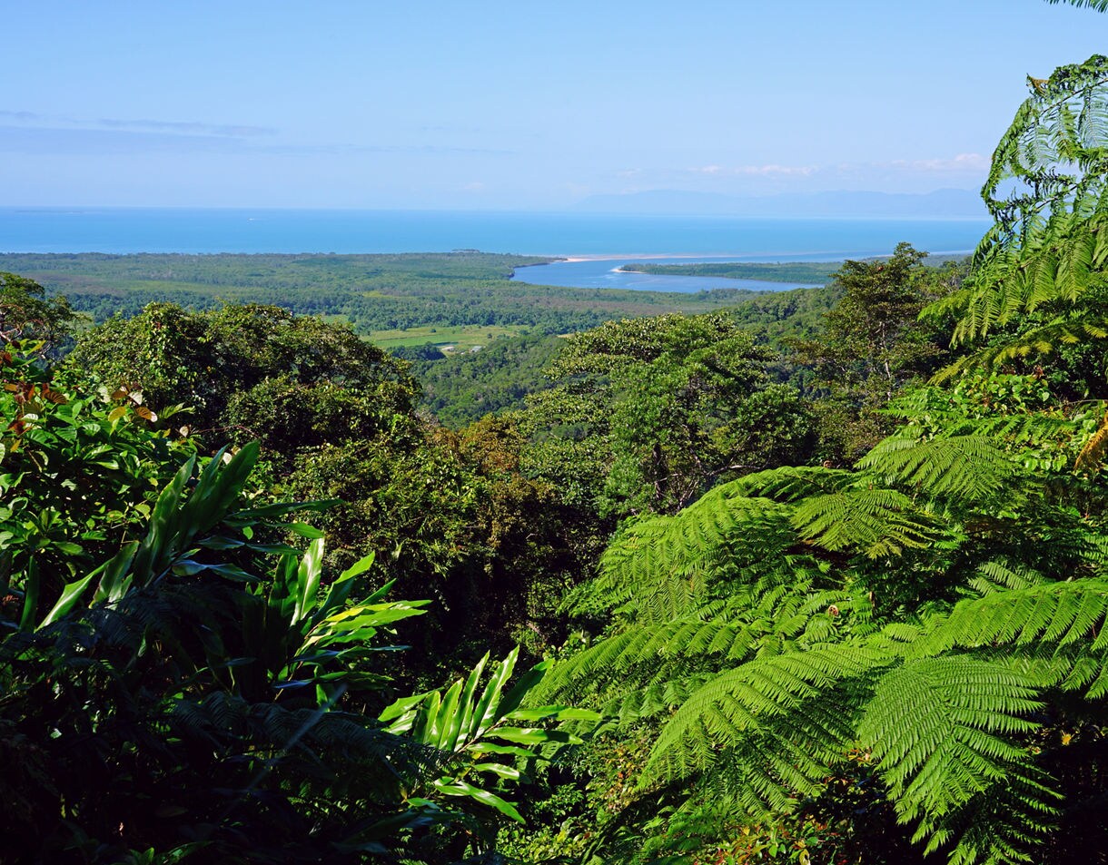 View over lush rainforest canopy toward a winding river and turquoise ocean in the distance.