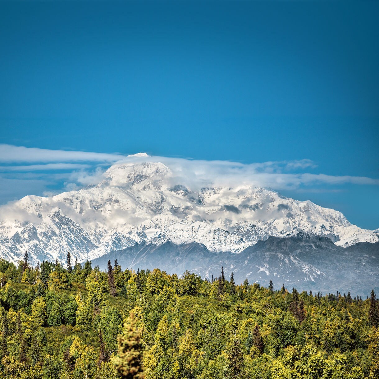 Off the Beaten Path in Denali National Park - Denali Air