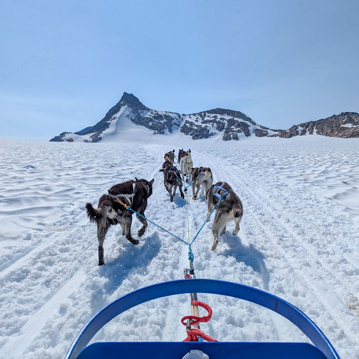 A team of sled dogs pulling a musher through the snow-covered landscape of Skagway, Alaska, with towering mountains and crisp blue skies in the background.