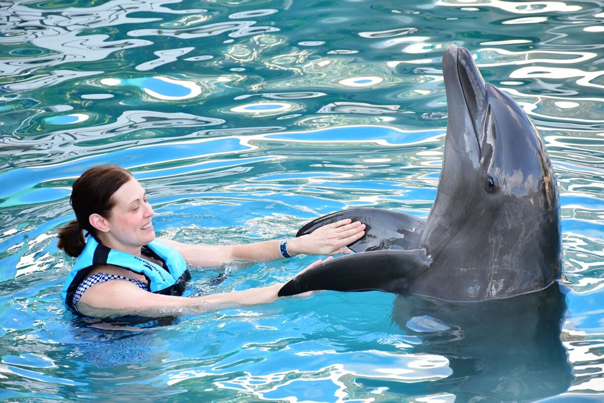 Swimming with dolphins in Cozumel, Mexico.