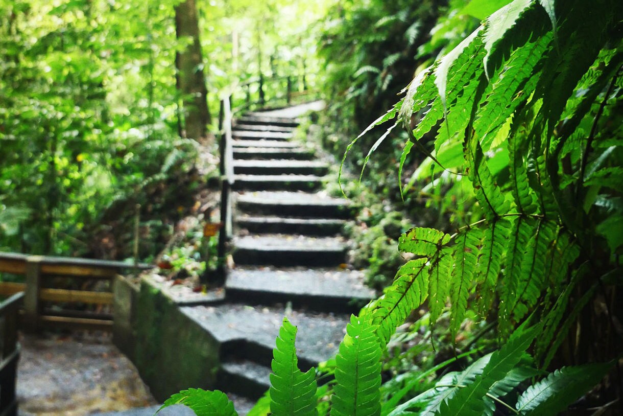 Morne Trois Pitons National Park in Dominica.