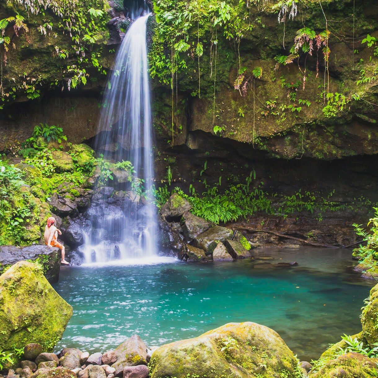A picturesque waterfall flows into a crystal-clear pool surrounded by vibrant green foliage in Dominica's Emerald Pool, with a visitor sitting on a rock nearby.