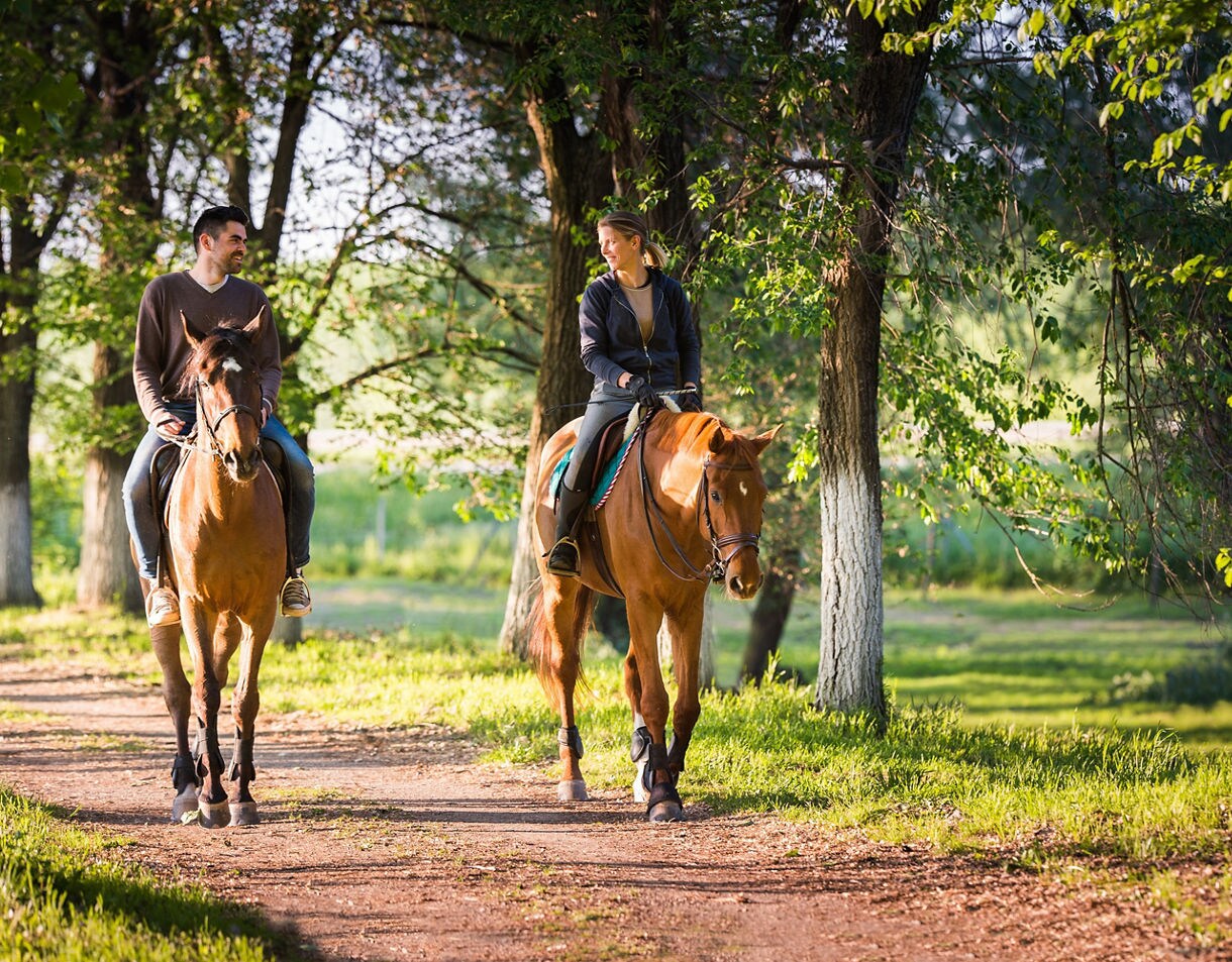 Ride through Ireland’s countryside and soak in the peaceful charm of nature.  Alt text: Two people horseback riding along a tree-lined path in the Irish countryside.