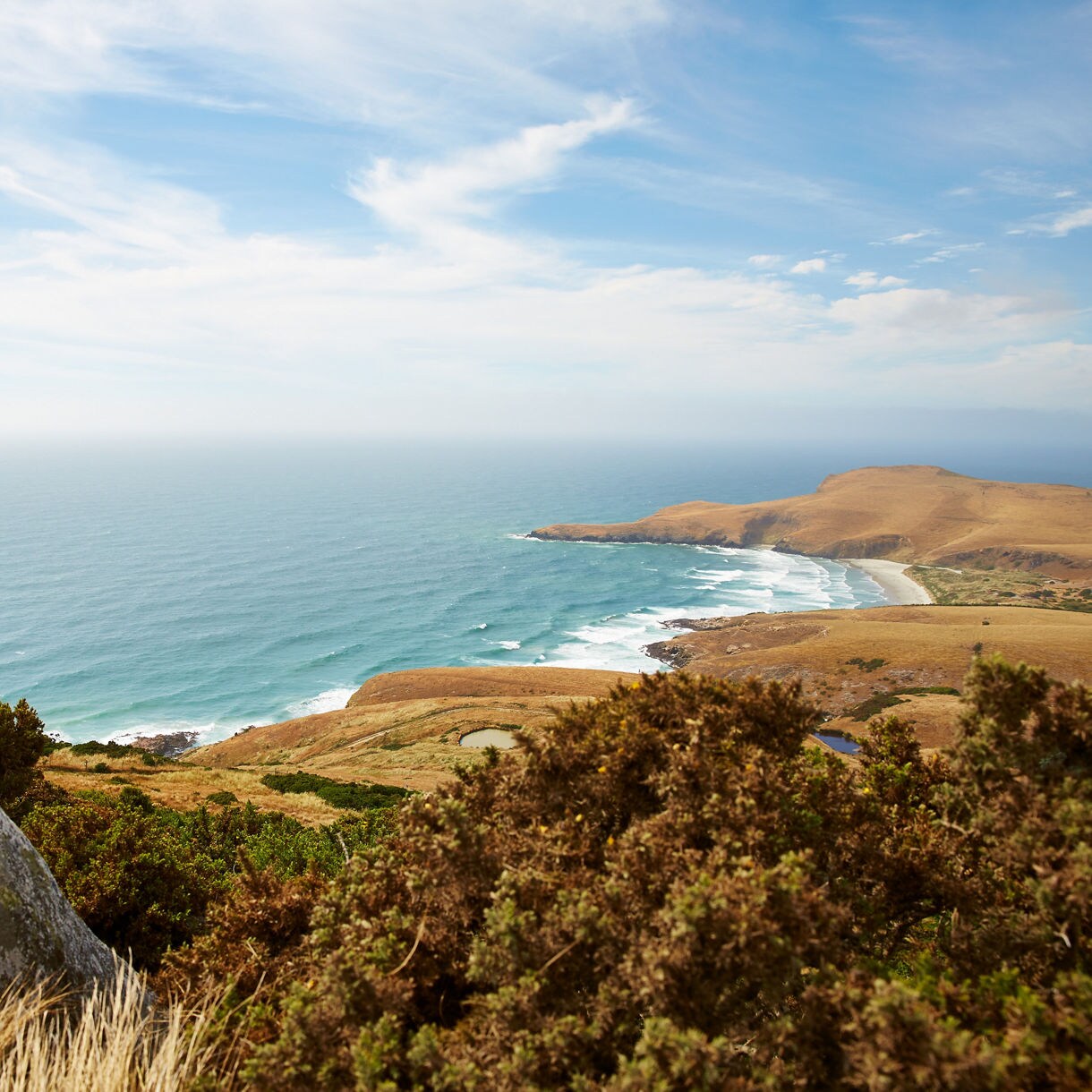Dunedin, New Zealand
