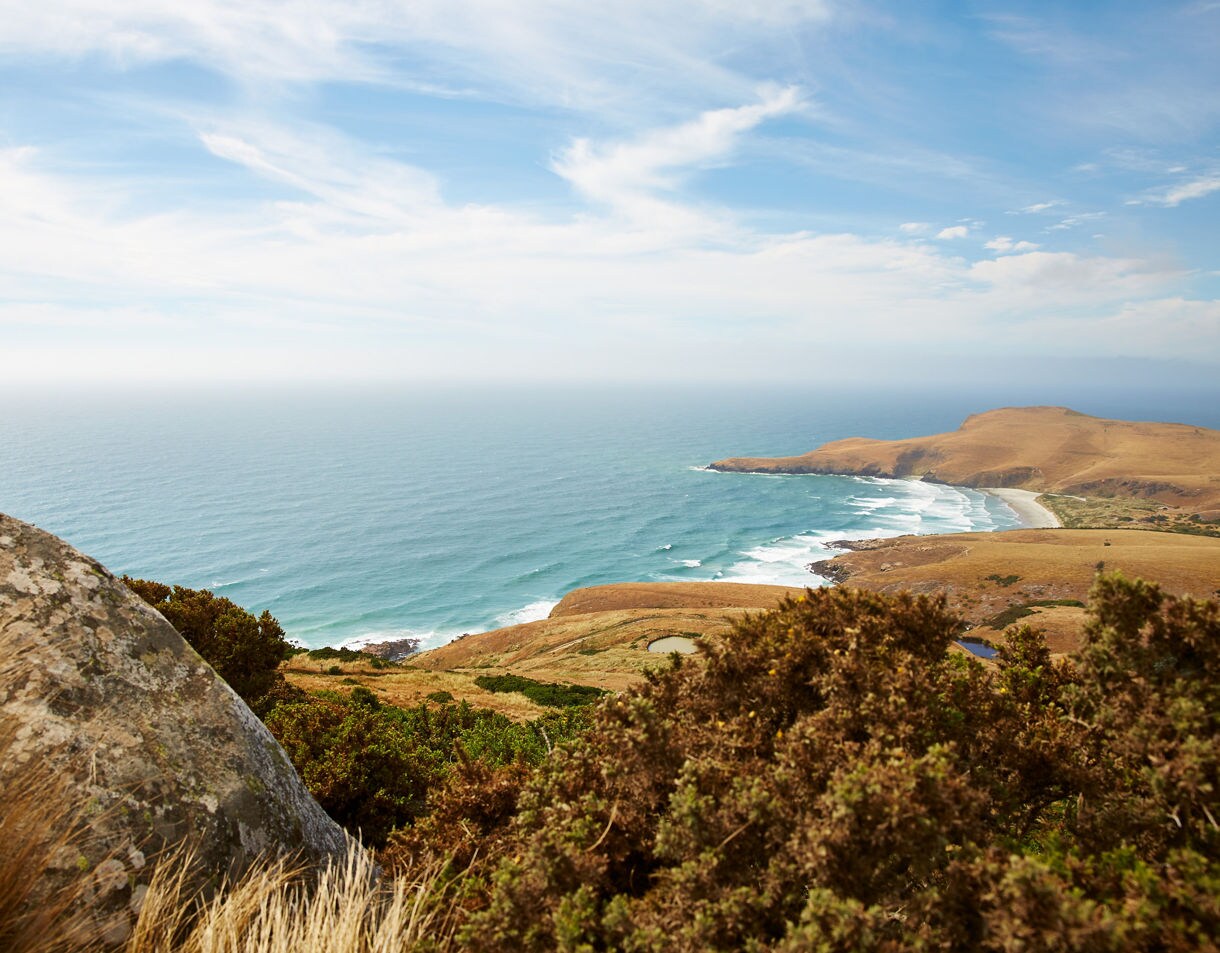Dunedin New Zealand Coastline