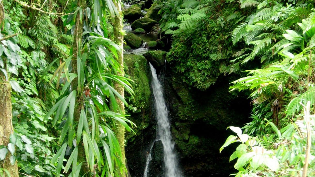 Dominica