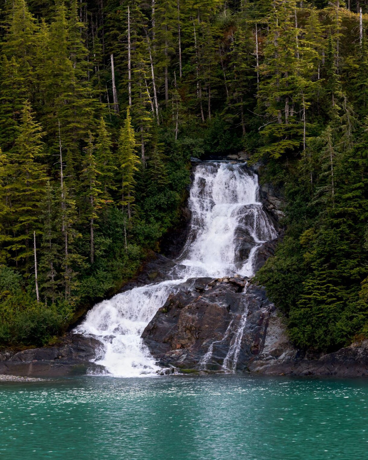 A multi-tiered waterfall cascades down dark rocky cliffs surrounded by dense green forest into the bright turquoise waters of Endicott Arm fjord.