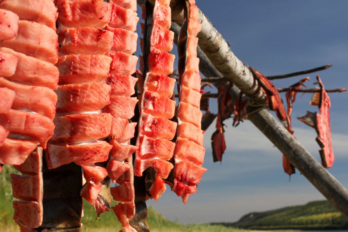 Fresh red salmon fillets are displayed hanging on wooden racks in traditional Native Alaskan preservation style with mountains visible in the background.