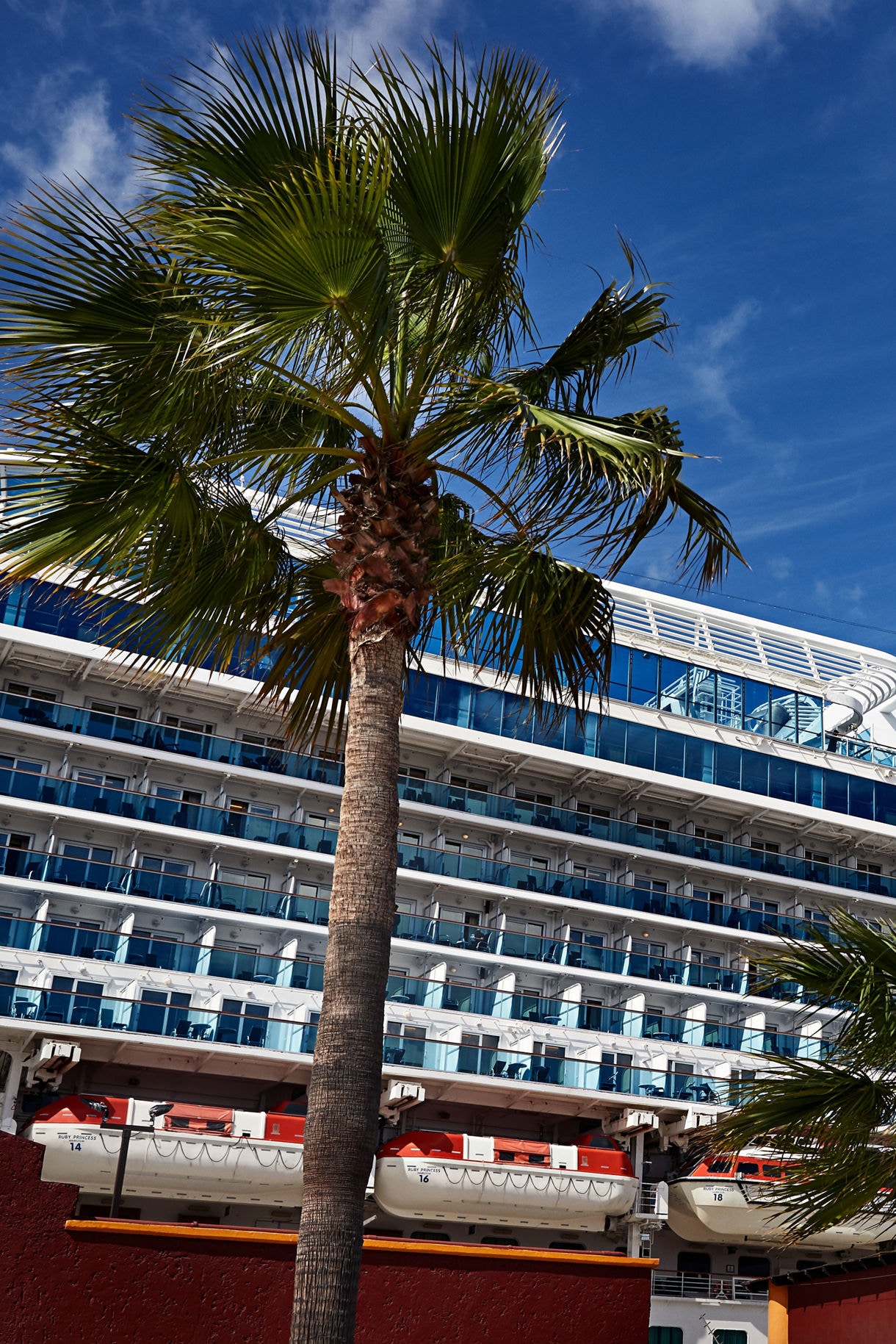 The Ruby Princess cruise ship docked at a sunny pier in Ensenada, Mexico, with a tall palm tree in the foreground and rows of balconies visible against a bright blue sky.