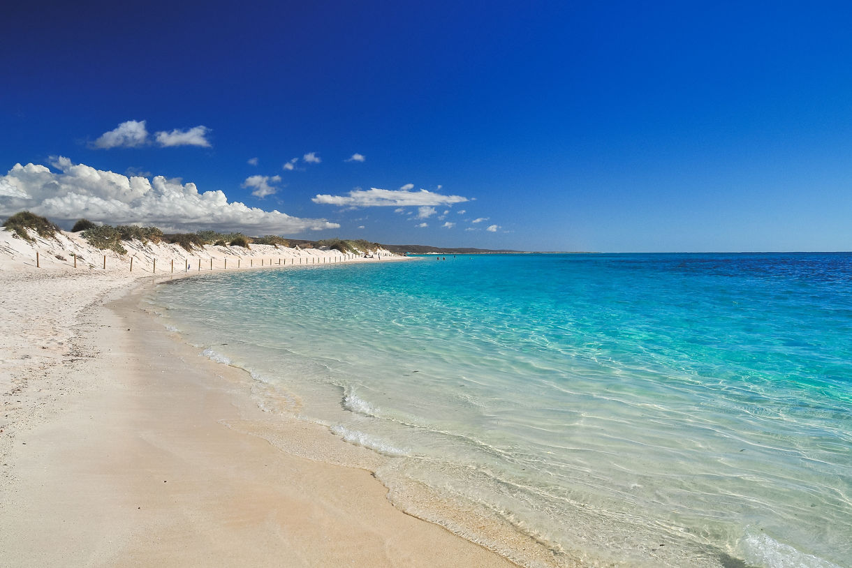 A pristine white-sand beach with gentle turquoise waves and clear blue sky, backed by low dunes and scattered shrubs.