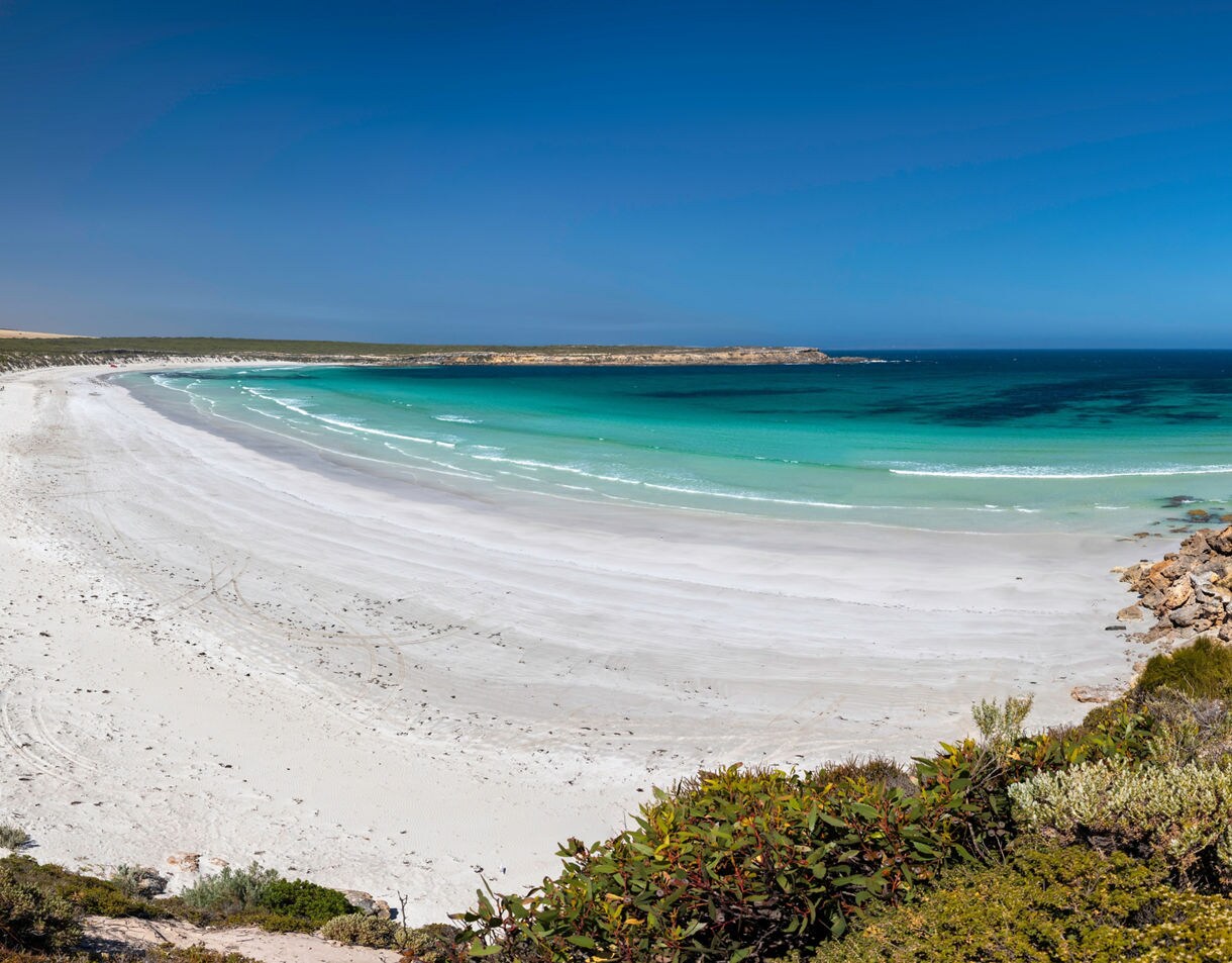 A wide, empty beach with bright white sand and shallow turquoise water, backed by low coastal dunes and shrubs under a clear blue sky.