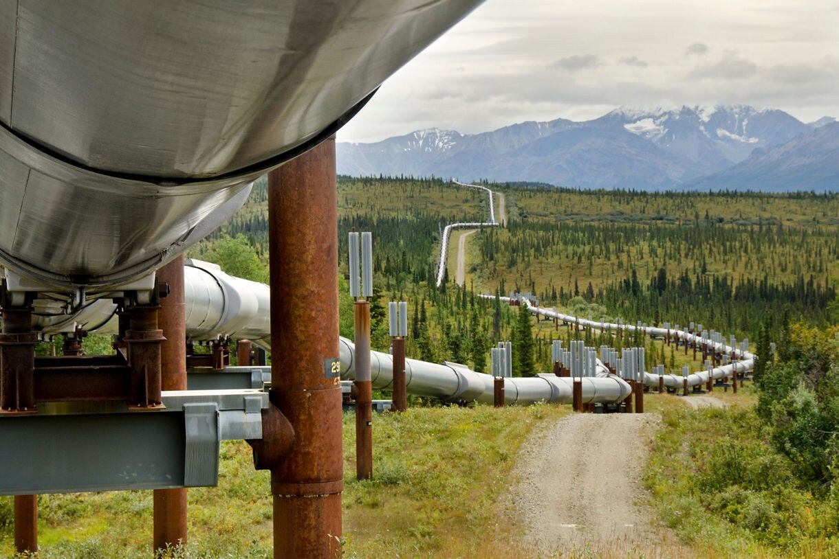  Silver pipeline elevated on supports running through green forest landscape with mountains on the horizon.