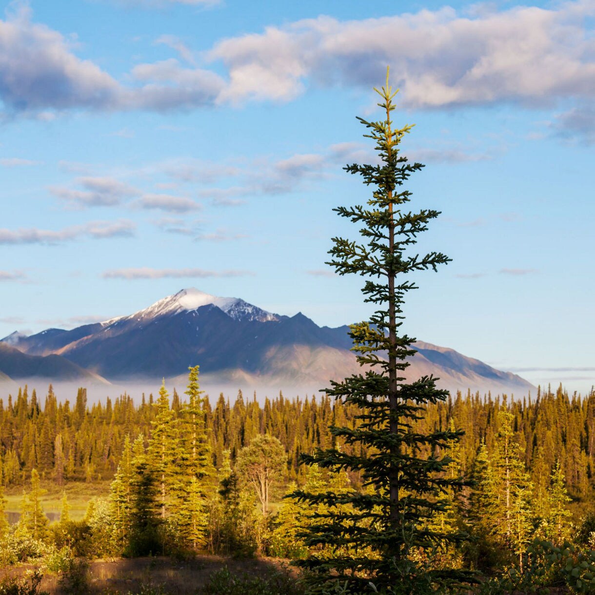 Fairbanks Arctic Circle Alaska