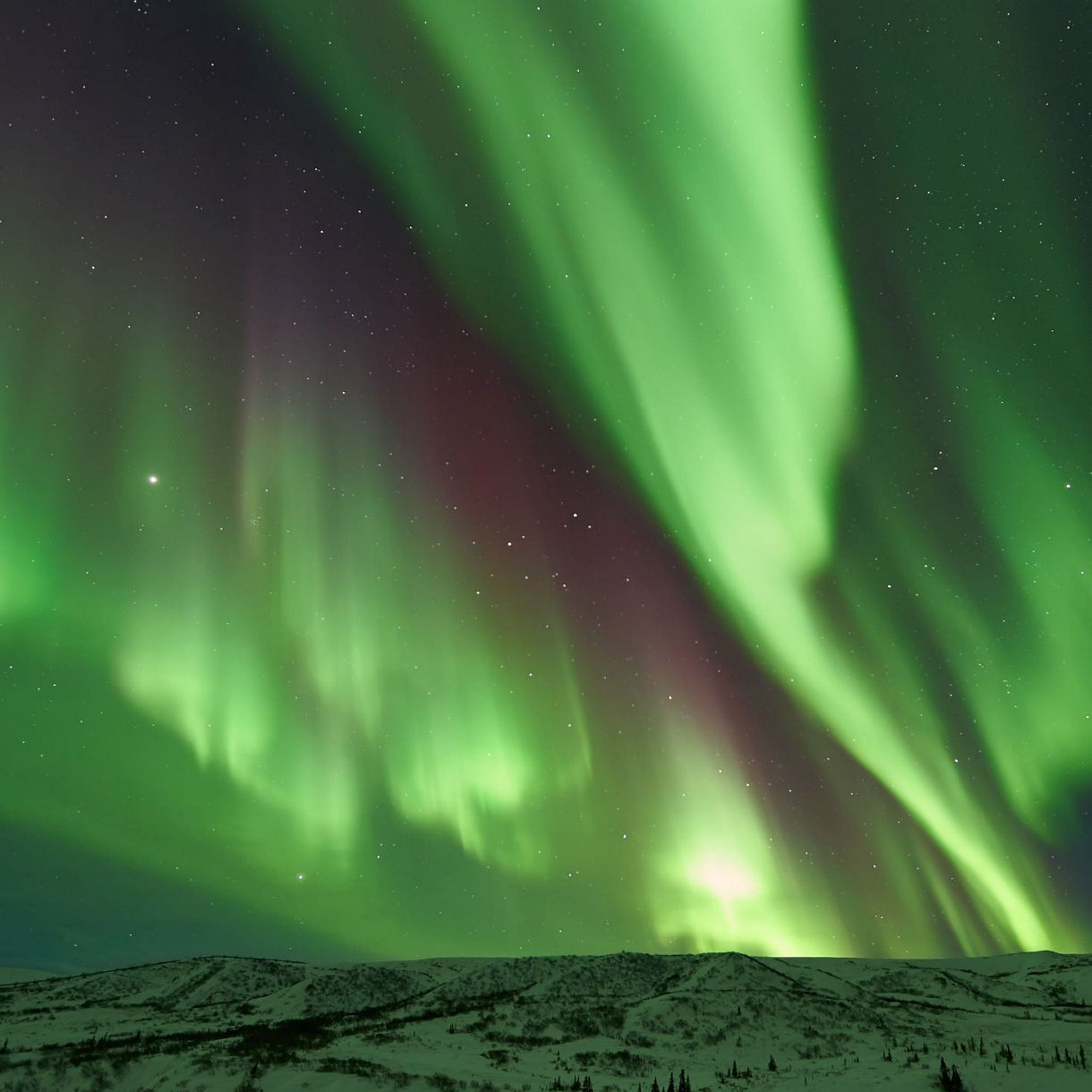 Fairbanks Aurora Borealis Alaska