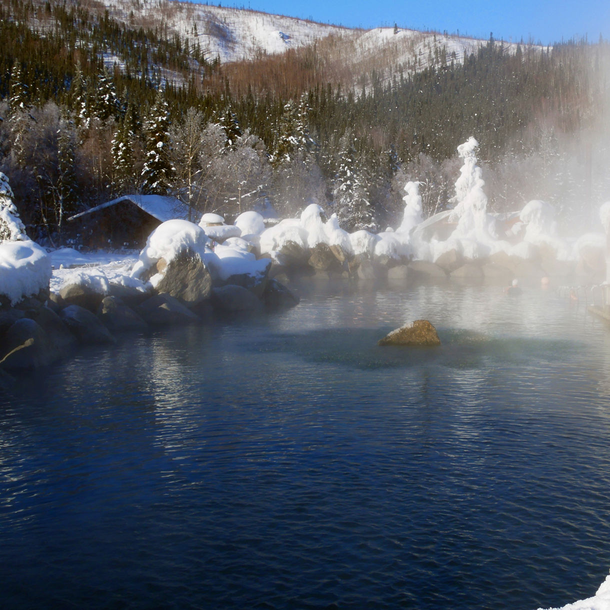 Fairbanks Cruisetour - Alaska Cruises - Princess Cruises